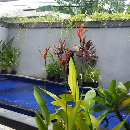 Star Bali Guest House Canggu Buitenkant foto